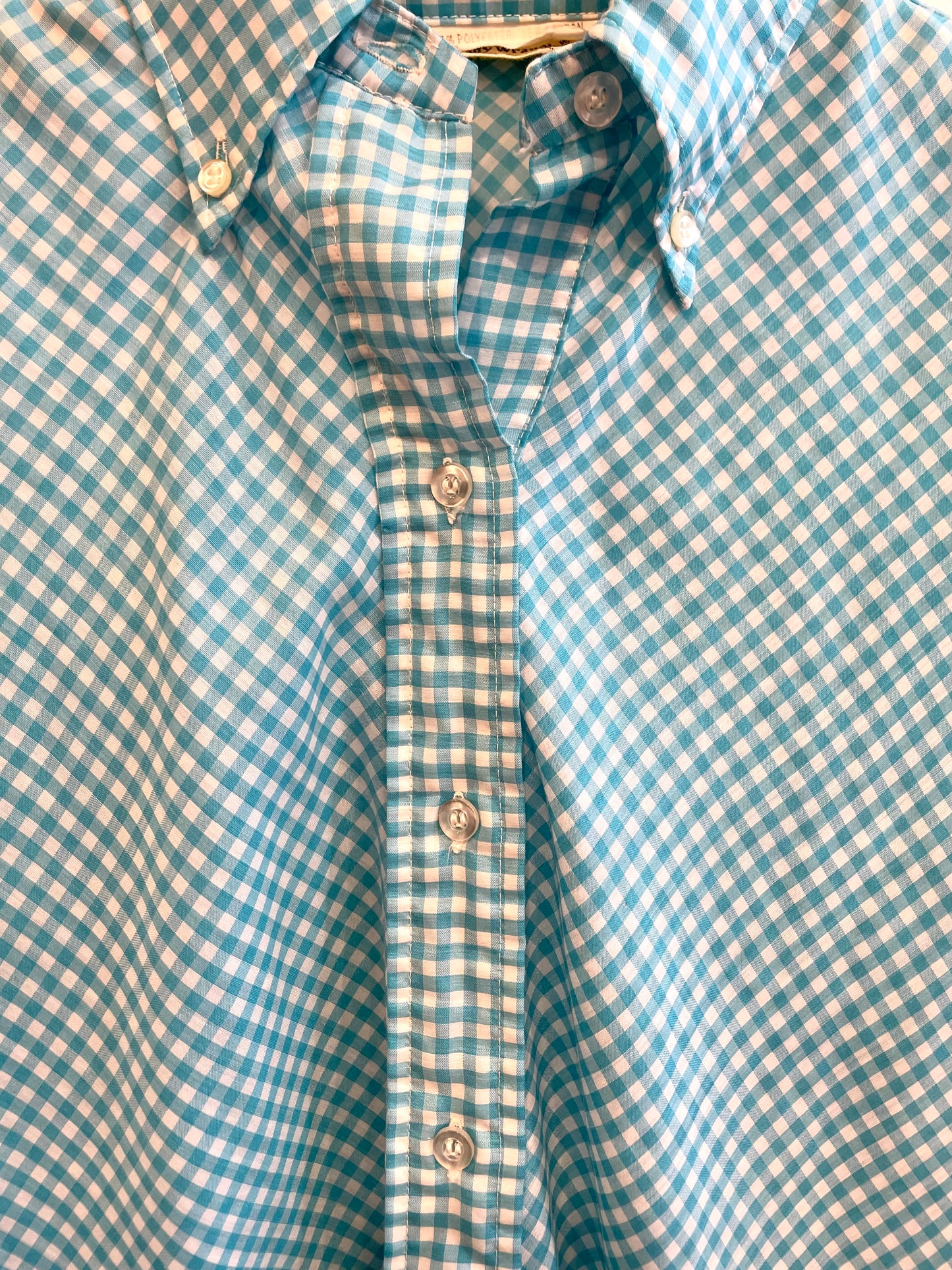 1970s Blue Check Lady Wrangler Long Sleeve Shirt