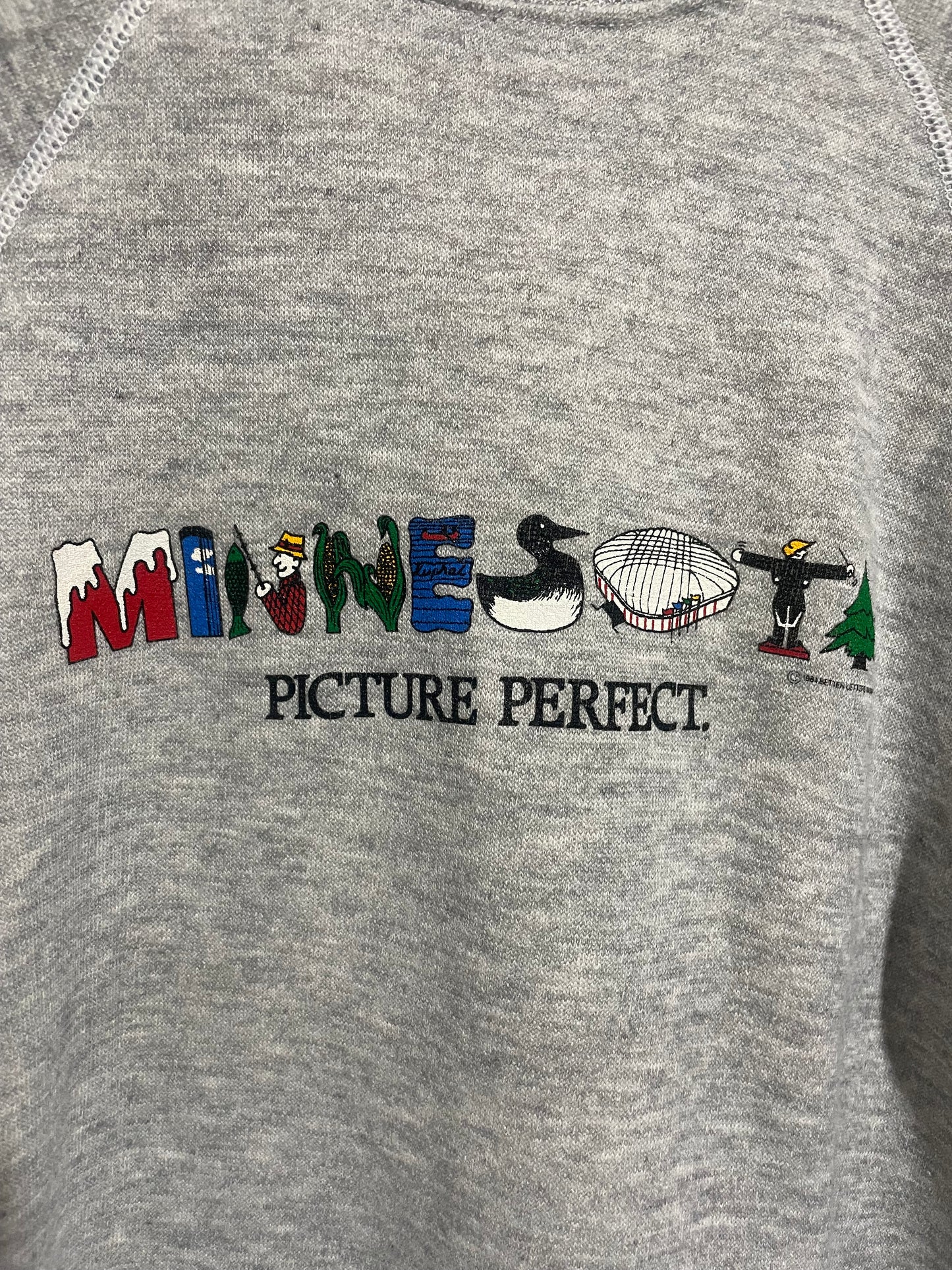 1980s Heather Grey Minnesota Picture Perfect Sweatshirt