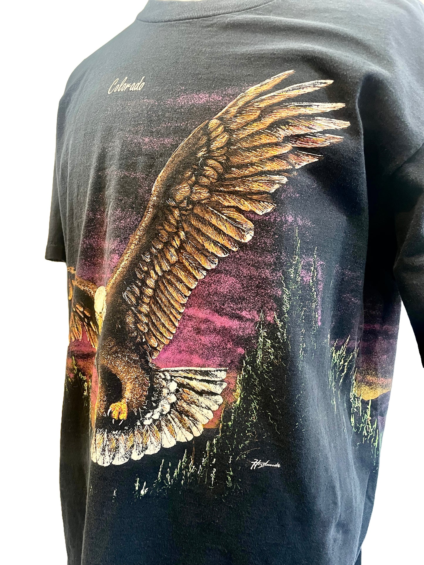 1990s Black Single-Stitch Colorado Eagle Tee