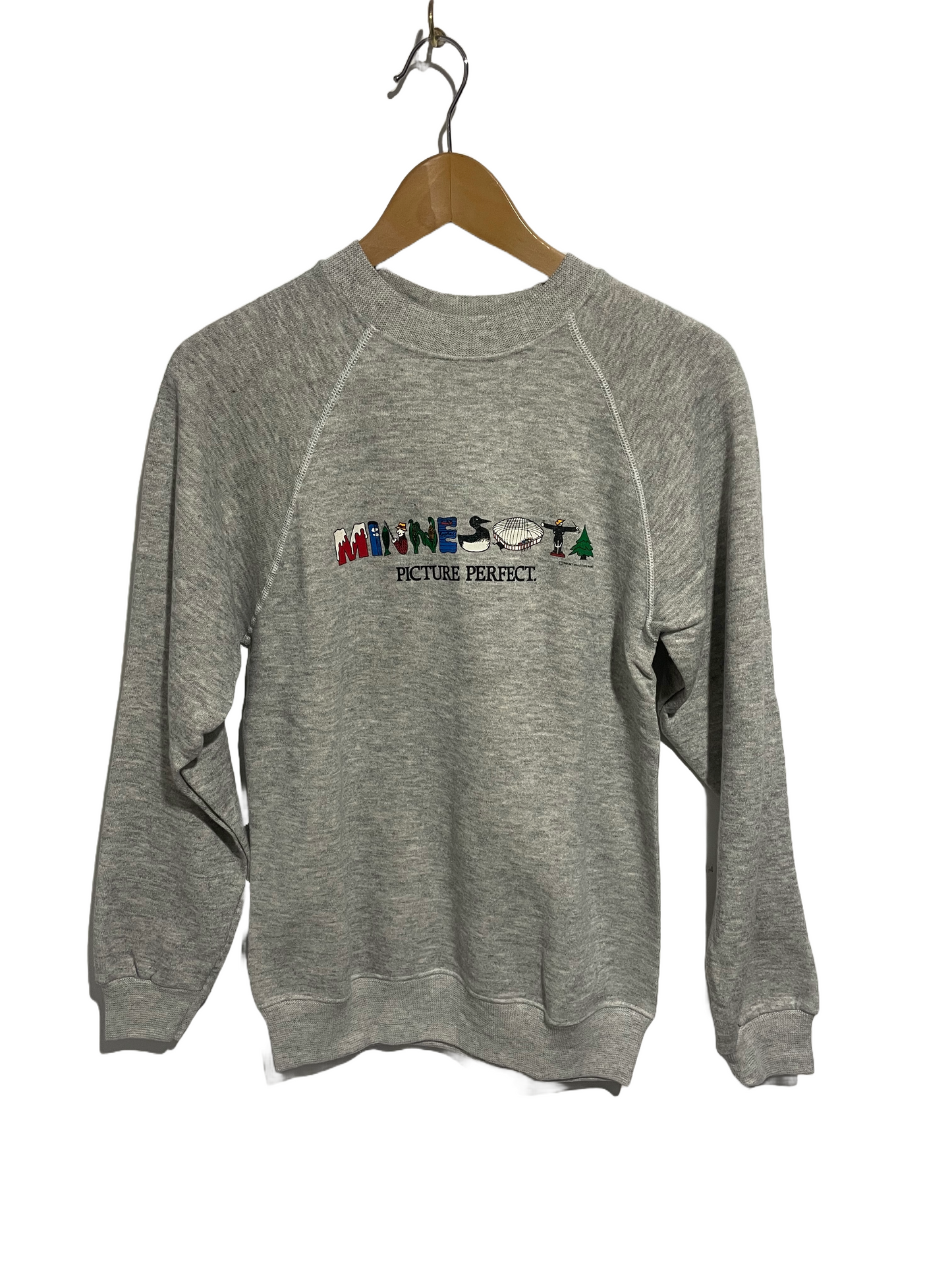 1980s Heather Grey Minnesota Picture Perfect Sweatshirt