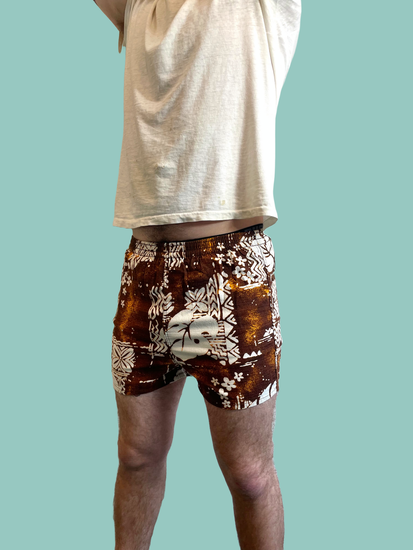 1970s Brown Barkcloth Penney’s ‘Towncraft’ Swim Trunks