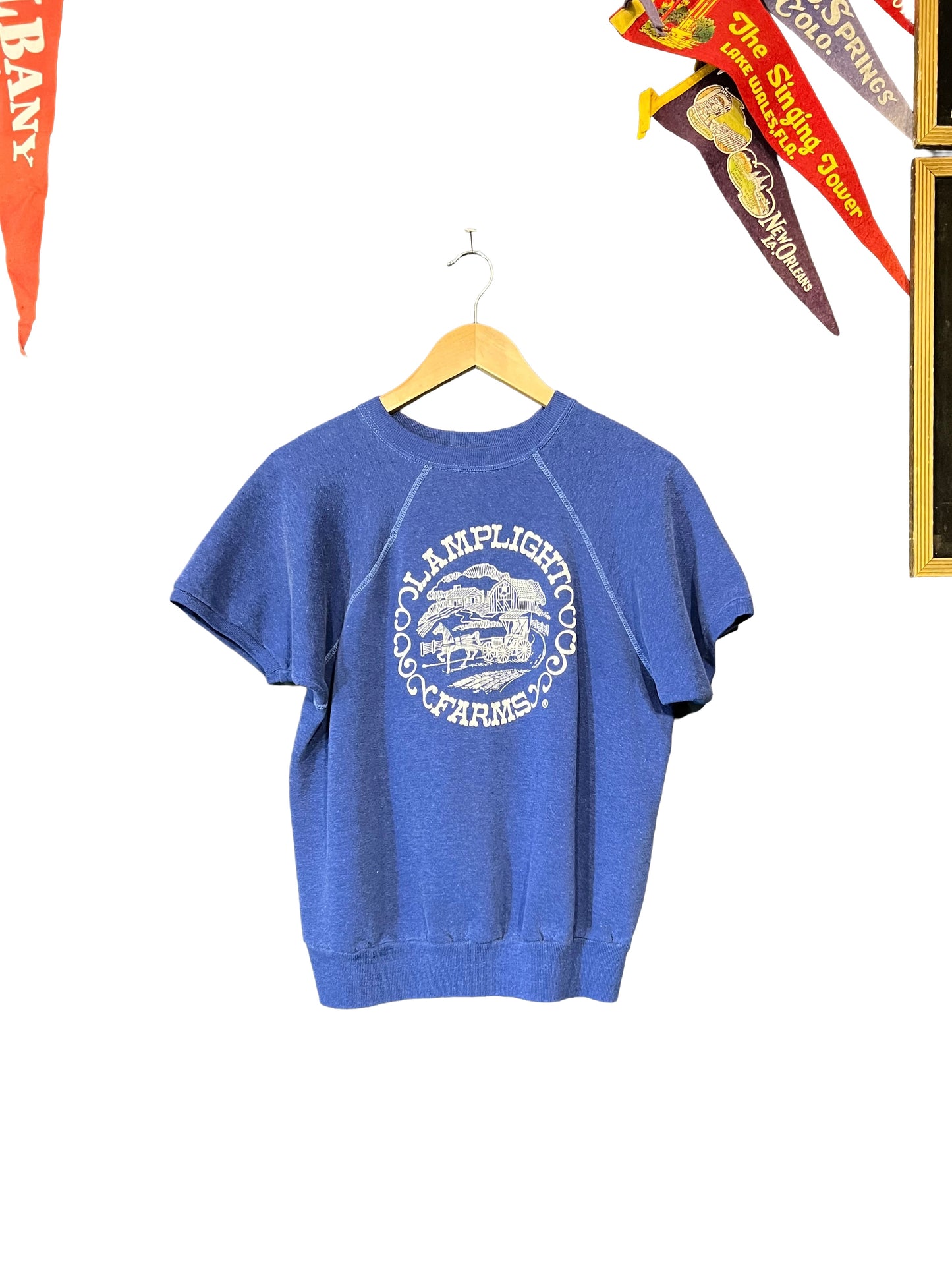 1970s Navy Blue Shortsleeve Lamplight Farms Sweatshirt