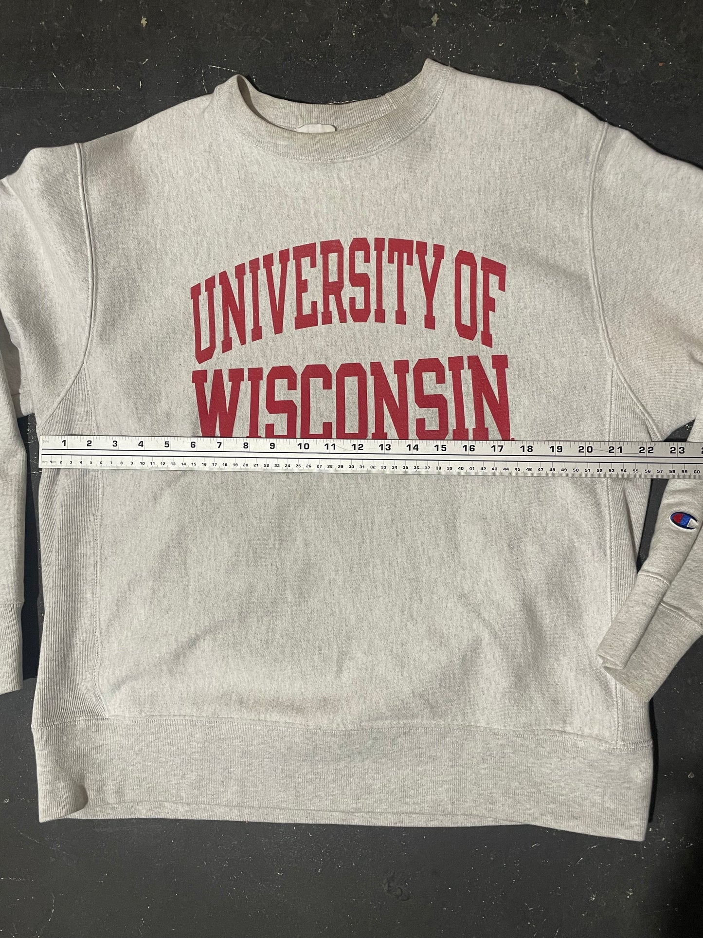 1990s Gray University of Wisconsin Champion Reverse Weave Sweatshirt